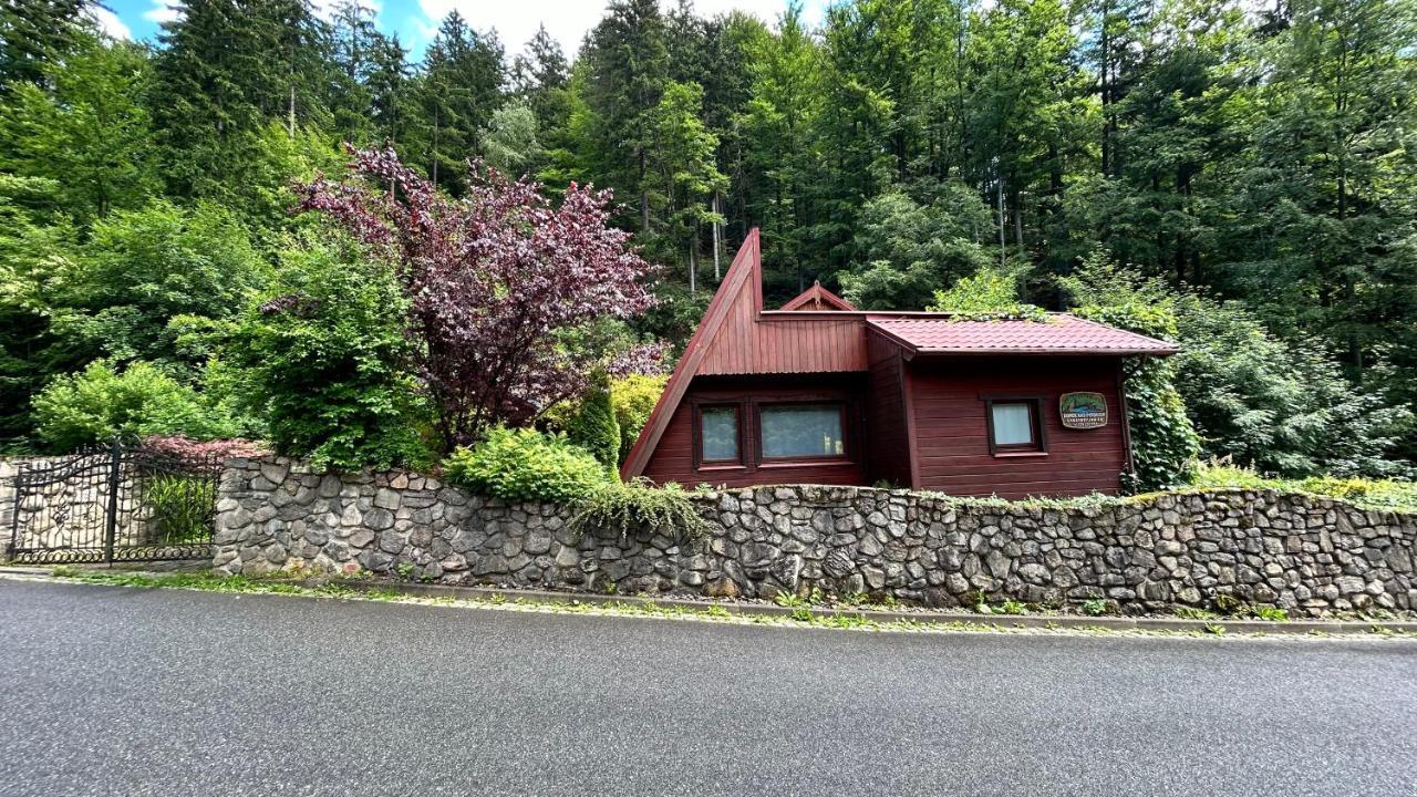 Holiday home Nad Potokiem Miedzygorze