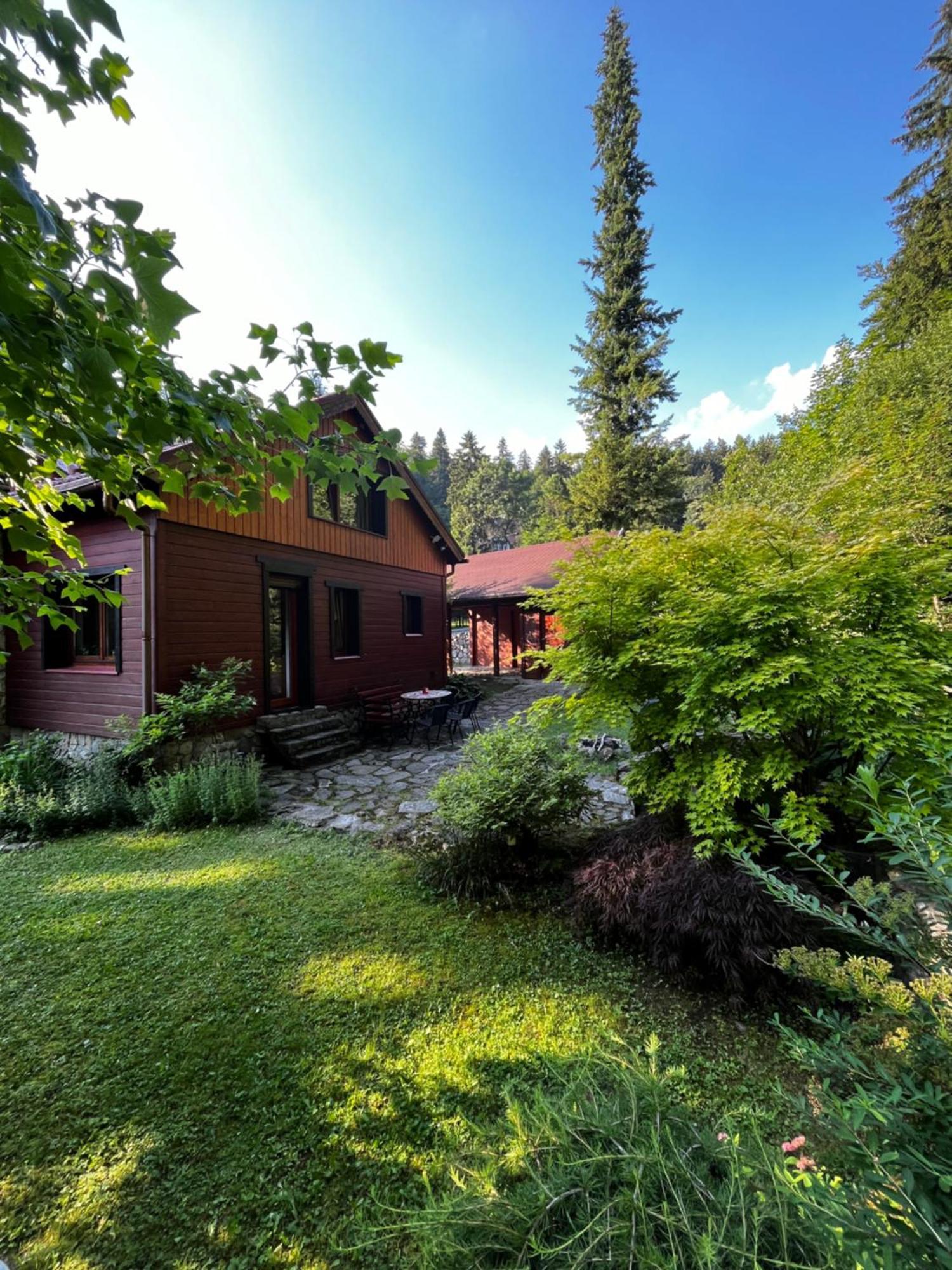 Holiday home Nad Potokiem Miedzygorze